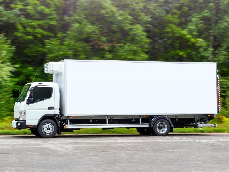 Quais são os Cuidados Essenciais ao Transportar Produtos Congelados em Baús Frigoríficos?