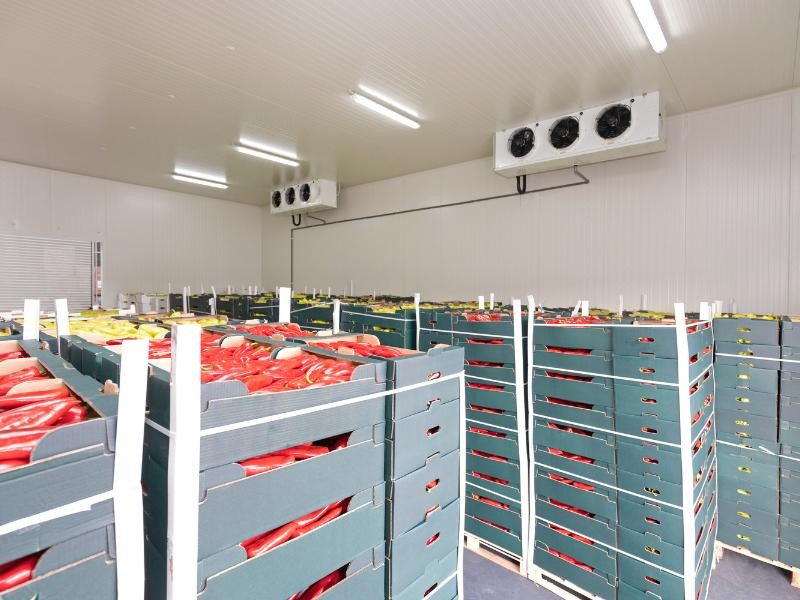 Como a Refrigeração em Baús Frigoríficos Ajuda a Preservar Alimentos Perecíveis?